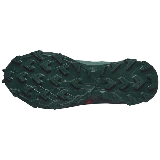 Salomon Alphacross 5 GTX